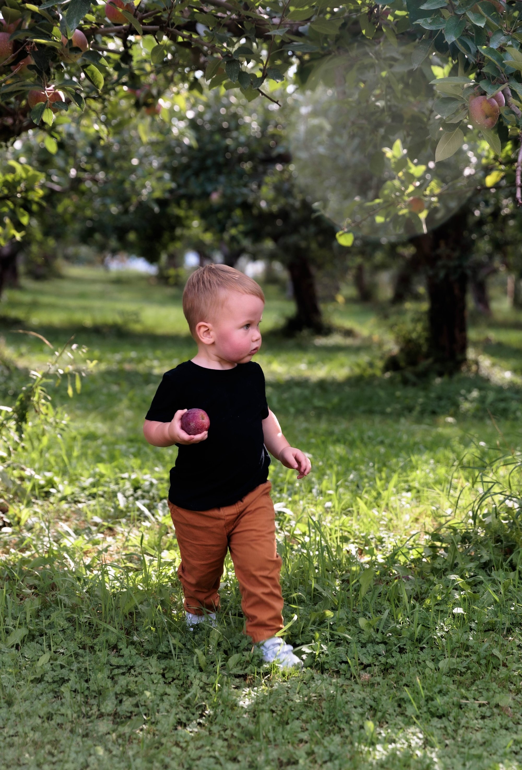 carousel-hero-element image-3